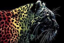 Ковер из Украины Леопард на Охоте MANGO 11016-180
