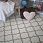 Ковер Scandinavian TRELLIS 37-2655 Ковер Scandinavian TRELLIS 37-2655
